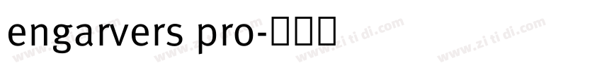 engarvers pro字体转换